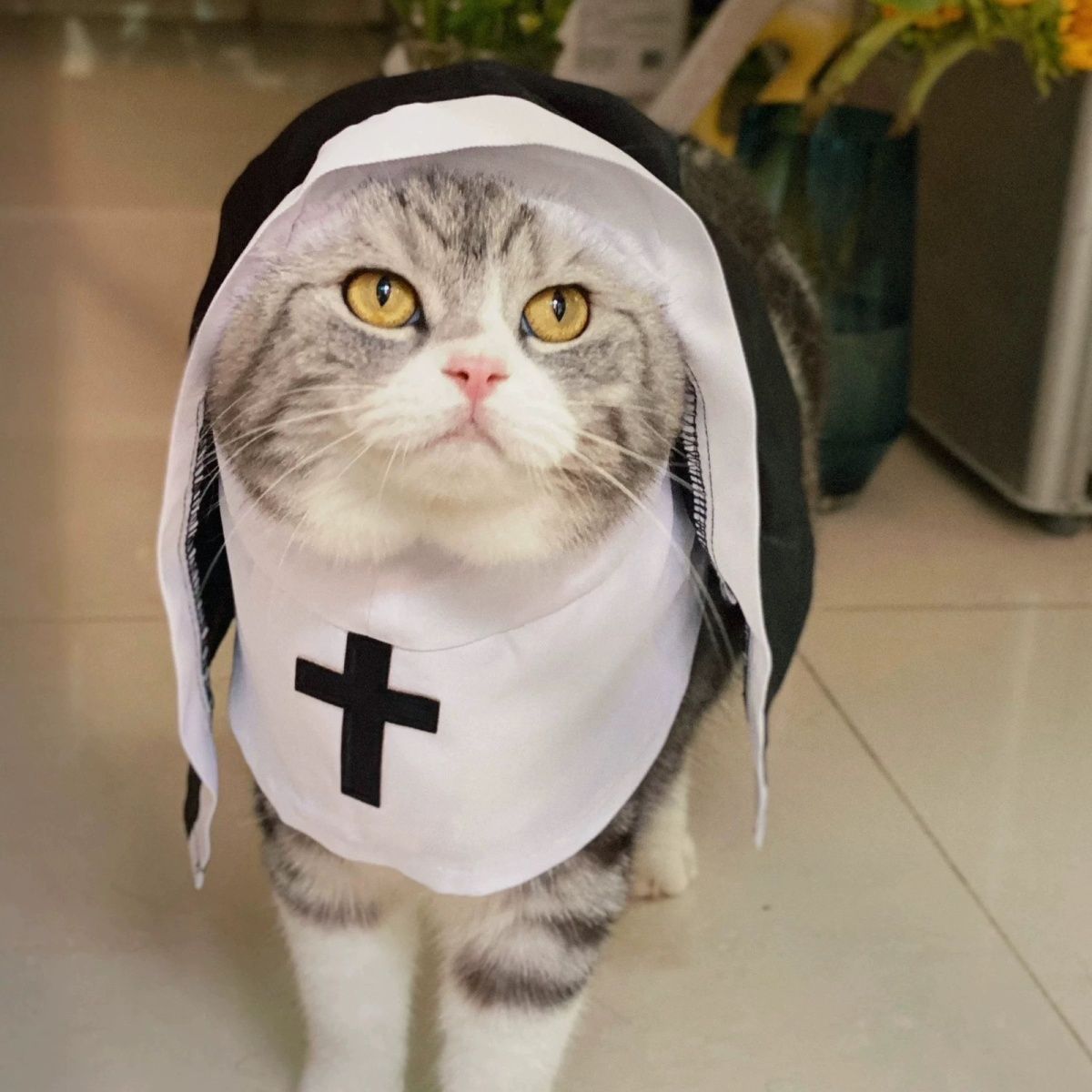 PET SHOW Nun Dog Costume For Small Medium Dogs Halloween Cosplay Outfit Black White Cloak Dress Up Pets Apparel Holiday Party Clothes Boys Girls - Image 9