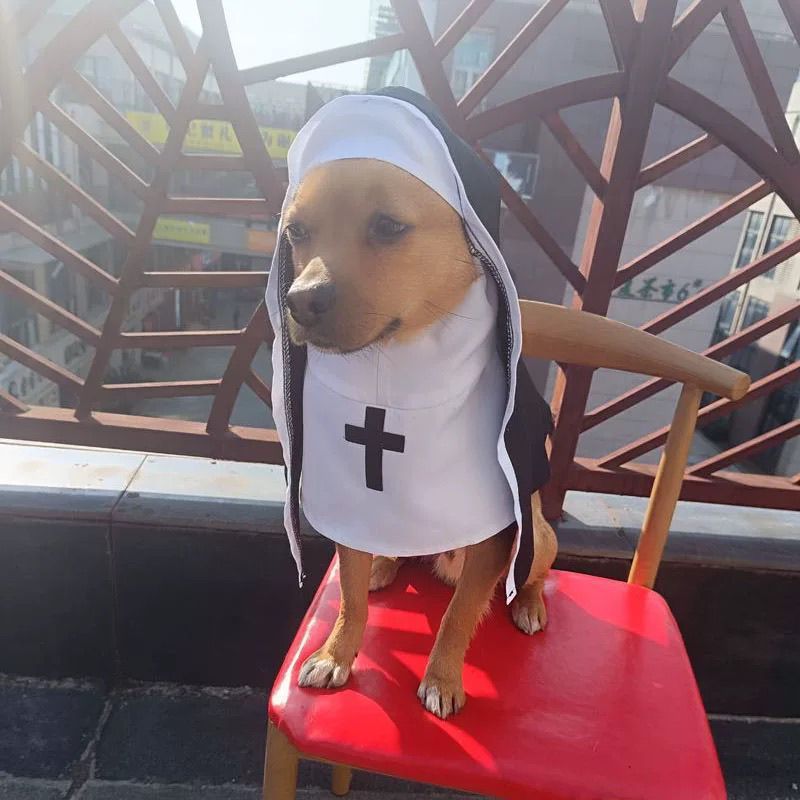 PET SHOW Nun Dog Costume For Small Medium Dogs Halloween Cosplay Outfit Black White Cloak Dress Up Pets Apparel Holiday Party Clothes Boys Girls - Image 7