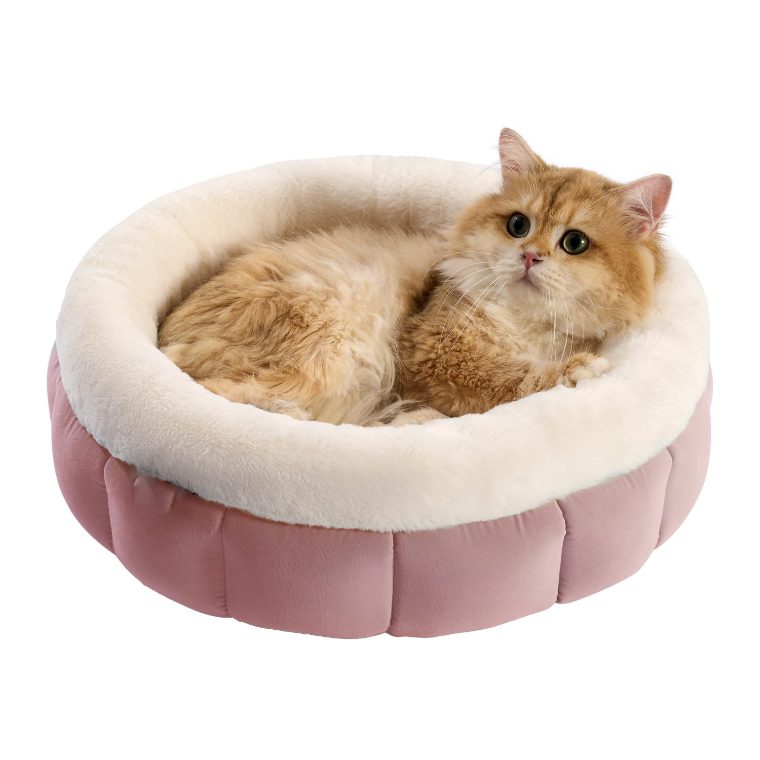 Donut Dog Beds For Small Dogs - Round Cat Beds For Indoor Cats Washable Pet Bed For Puppy And Kitten With Anti-Slip Bottom - Image 7