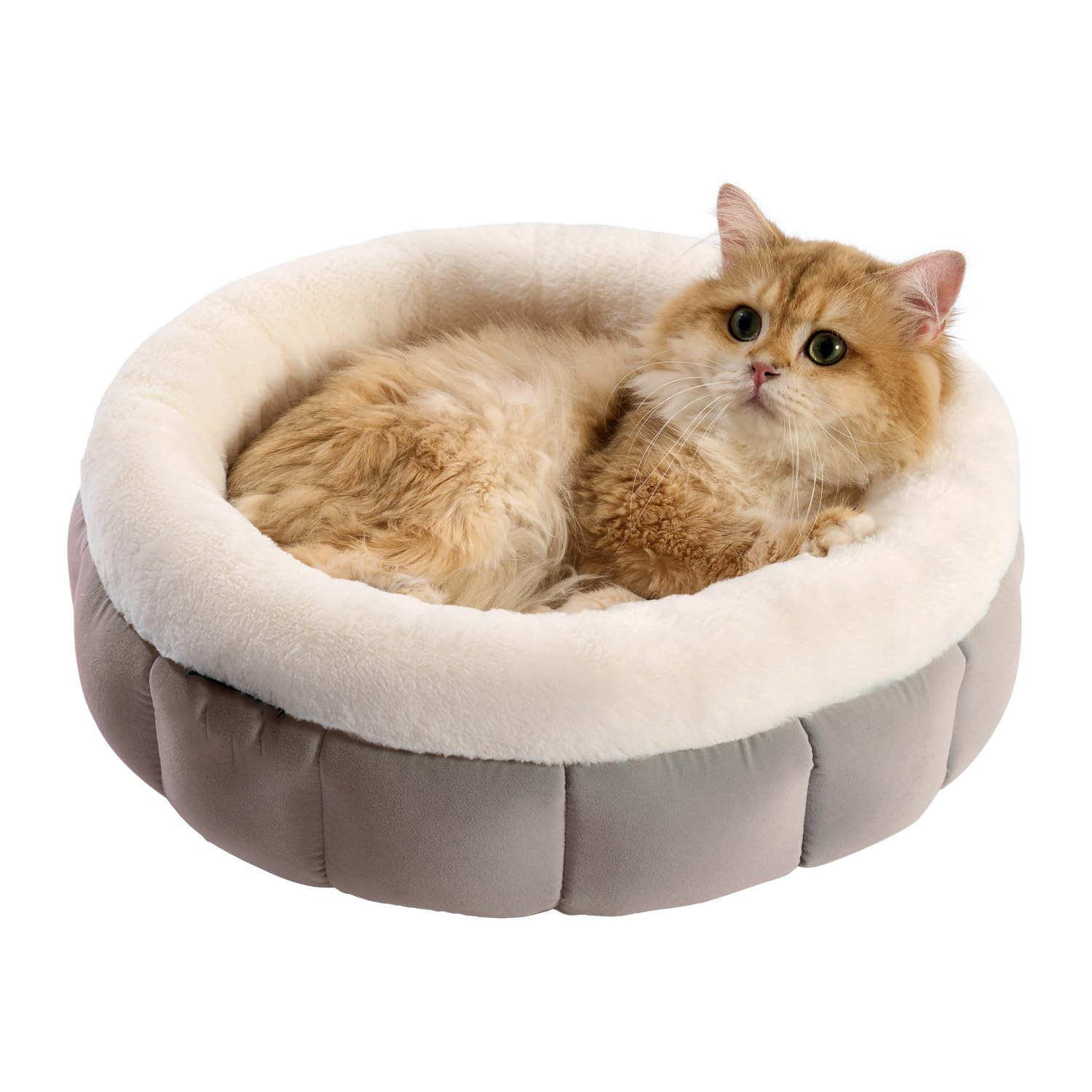 Donut Dog Beds For Small Dogs - Round Cat Beds For Indoor Cats Washable Pet Bed For Puppy And Kitten With Anti-Slip Bottom - Image 5