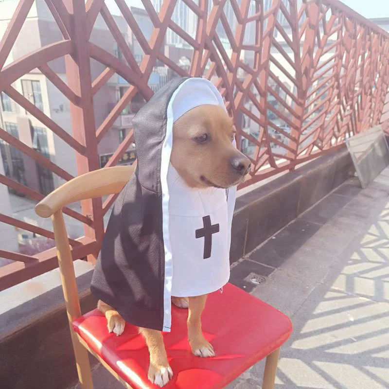 PET SHOW Nun Dog Costume For Small Medium Dogs Halloween Cosplay Outfit Black White Cloak Dress Up Pets Apparel Holiday Party Clothes Boys Girls - Image 10