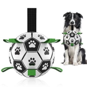 Interactive Dog Football
